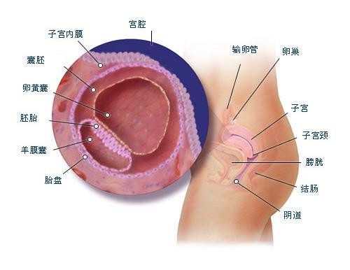 武汉代孕操作流程代孕盘点代孕女性代代孕过程