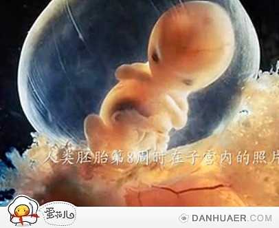 武汉代孕包成功生双胞胎多少钱,剖宫产后常腹痛