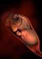 供卵代孕网_代孕网成功率高吗_怎么能找到代孕机构