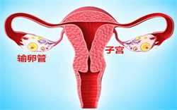 供卵血型不对有什么影响，孕妇腹泻补液补什么